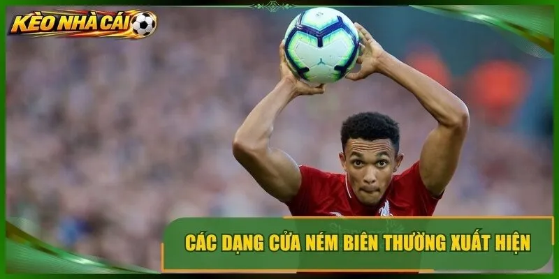 Các dạng cửa ném biên thường xuất hiện