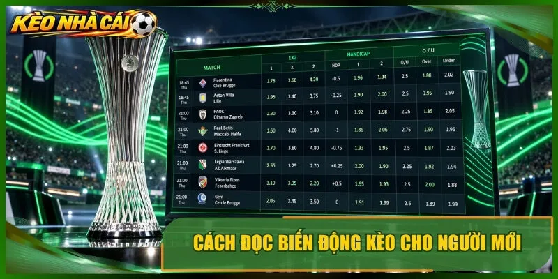Cách đọc biến động kèo cho người mới
