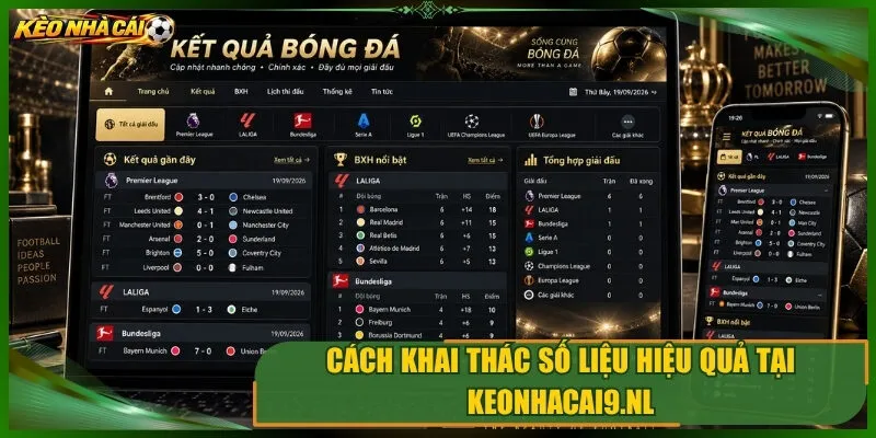 Cách khai thác số liệu hiệu quả tại mypw.io
